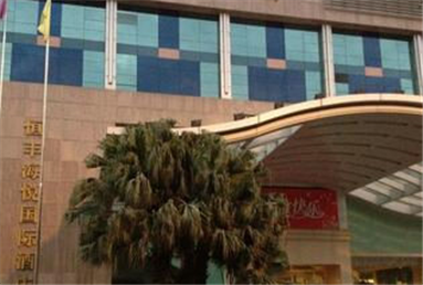 恒豐海酒店旋轉門工程