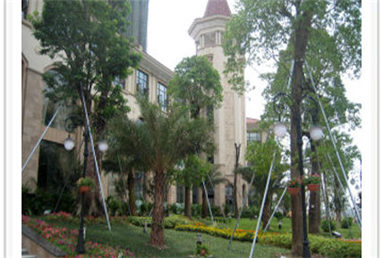 惠州龍光城五期自動門工程